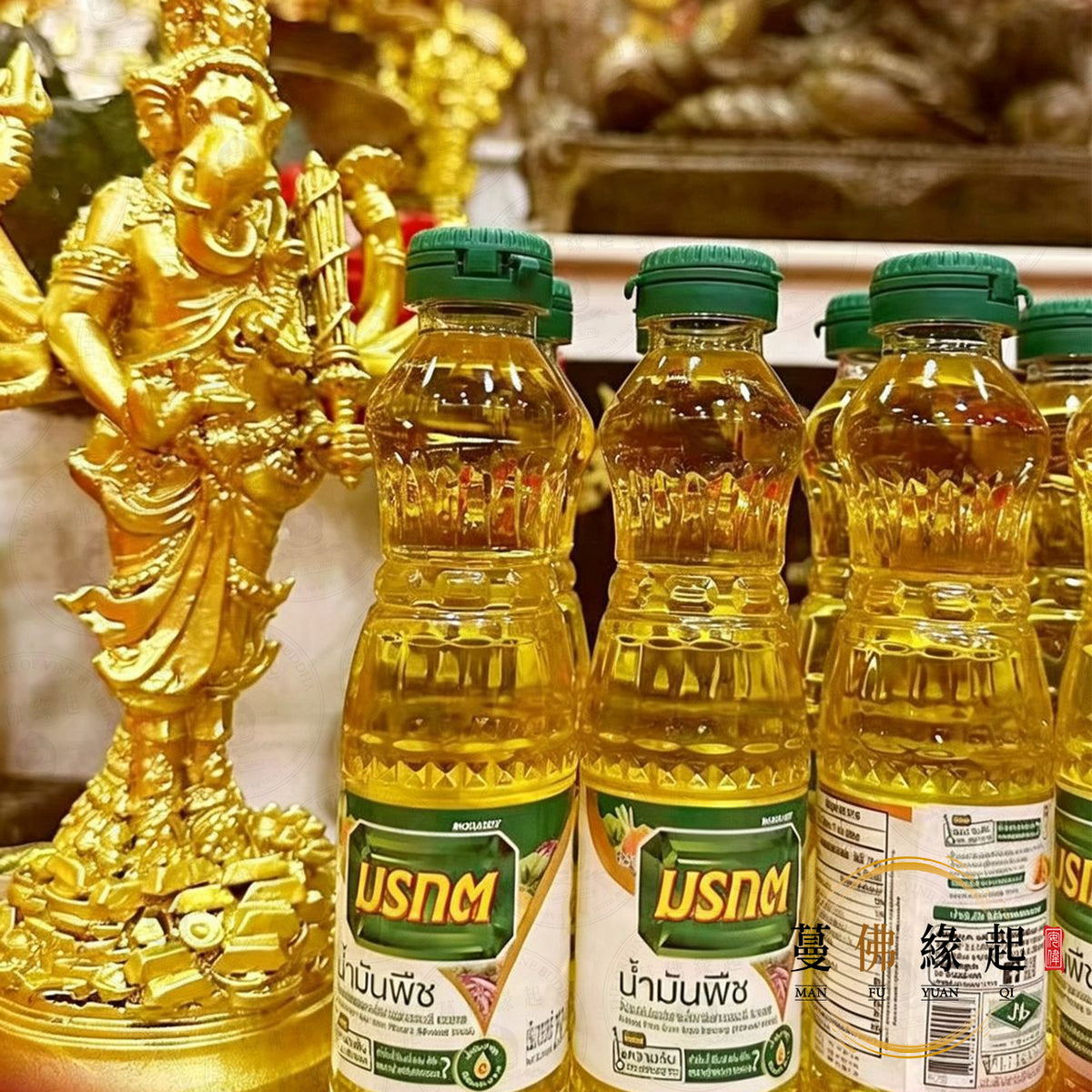 代辦 • 捐九頭招財象神香油功德