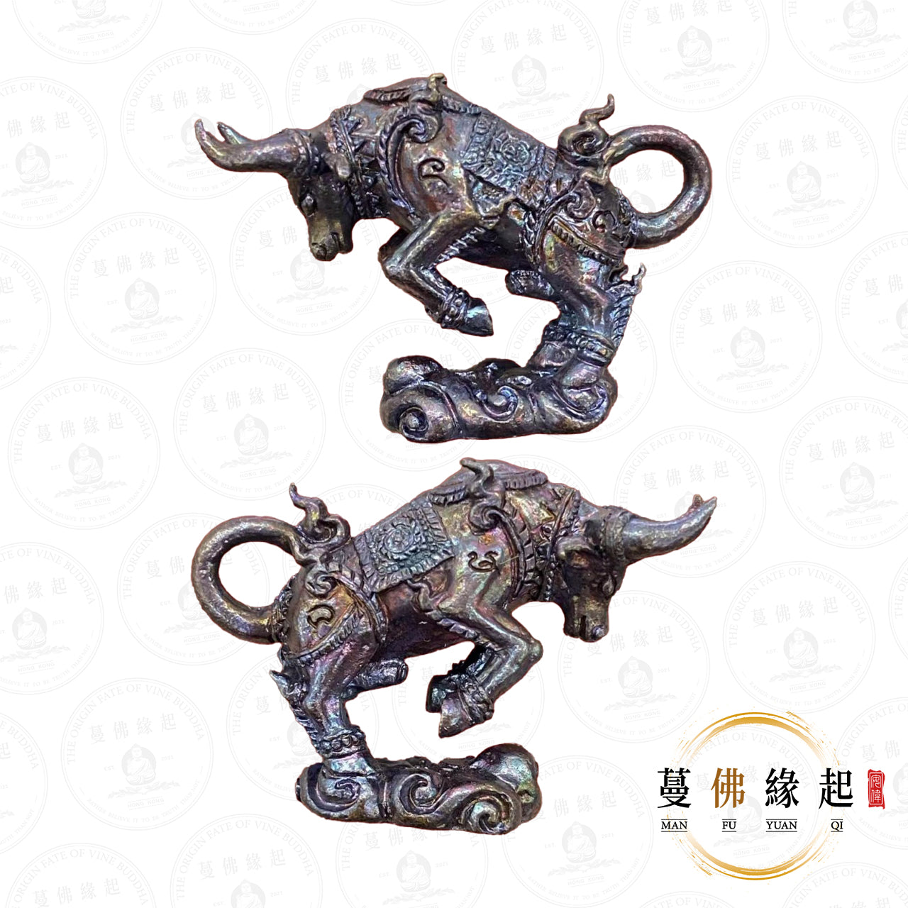 古巴磐石 / 阿贊旁蝕 • 2562 • 弓箭牛