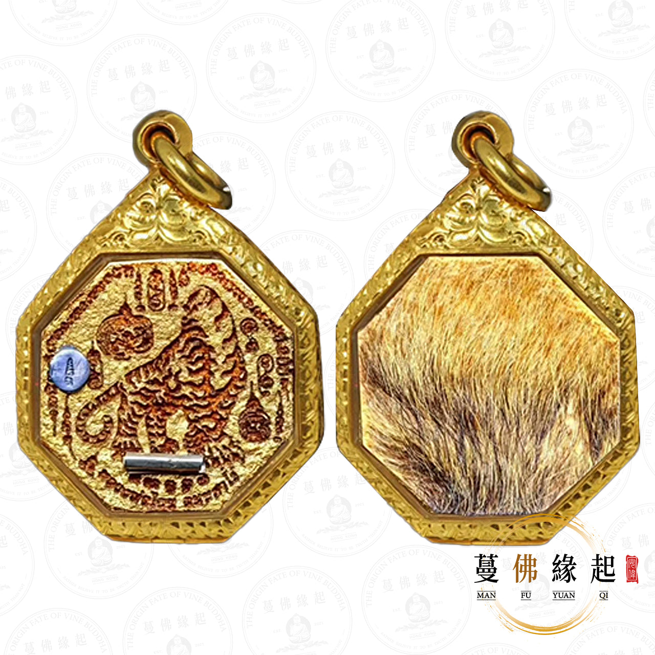 龍婆趁乃 • 2567 • 虎皮無頭虎