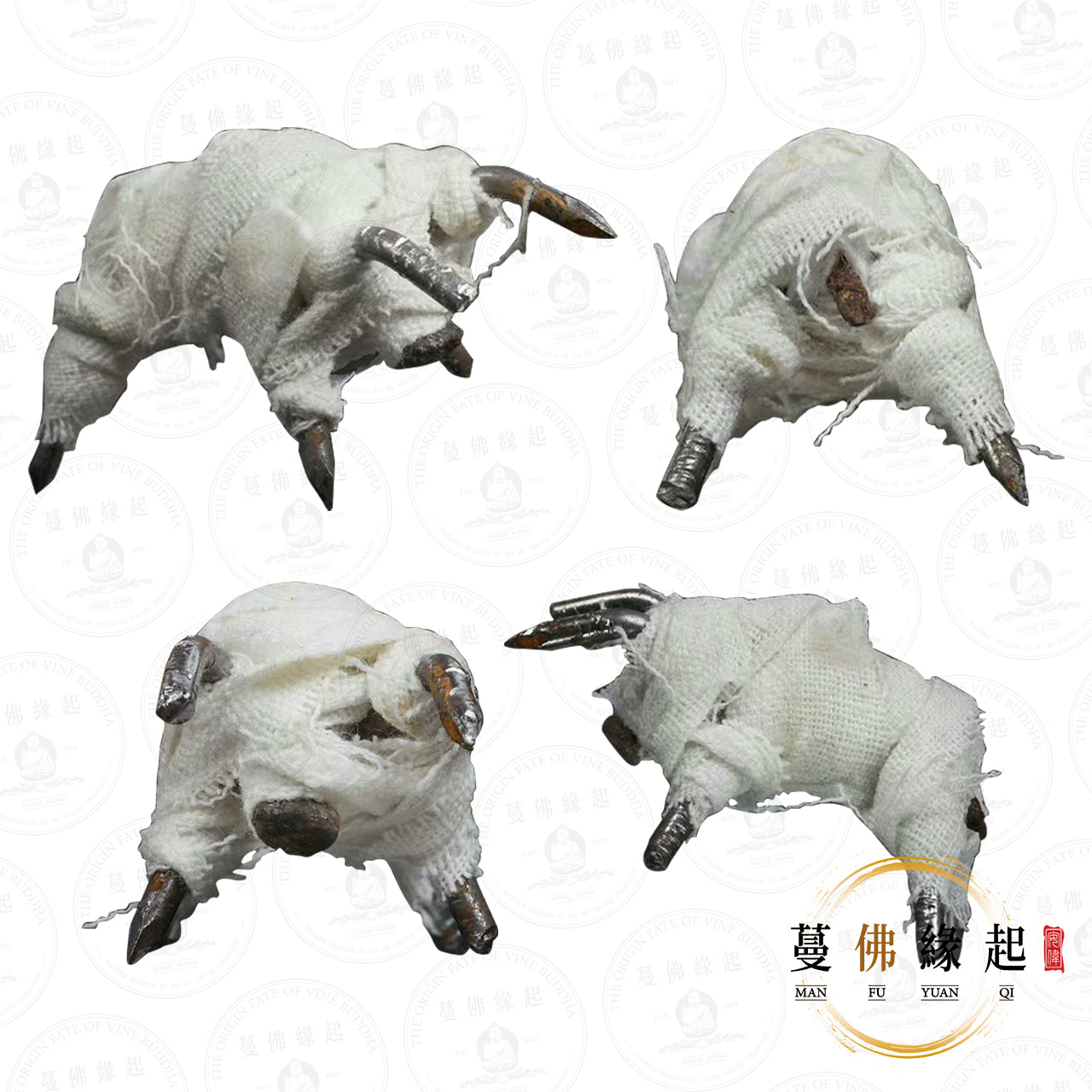 阿贊暗甩/安納 • 2567 • 一期 • 弓箭牛(棺釘版)