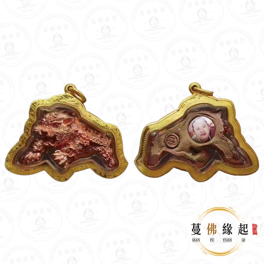 魯士暗甩 • 早期 • 斷尾虎