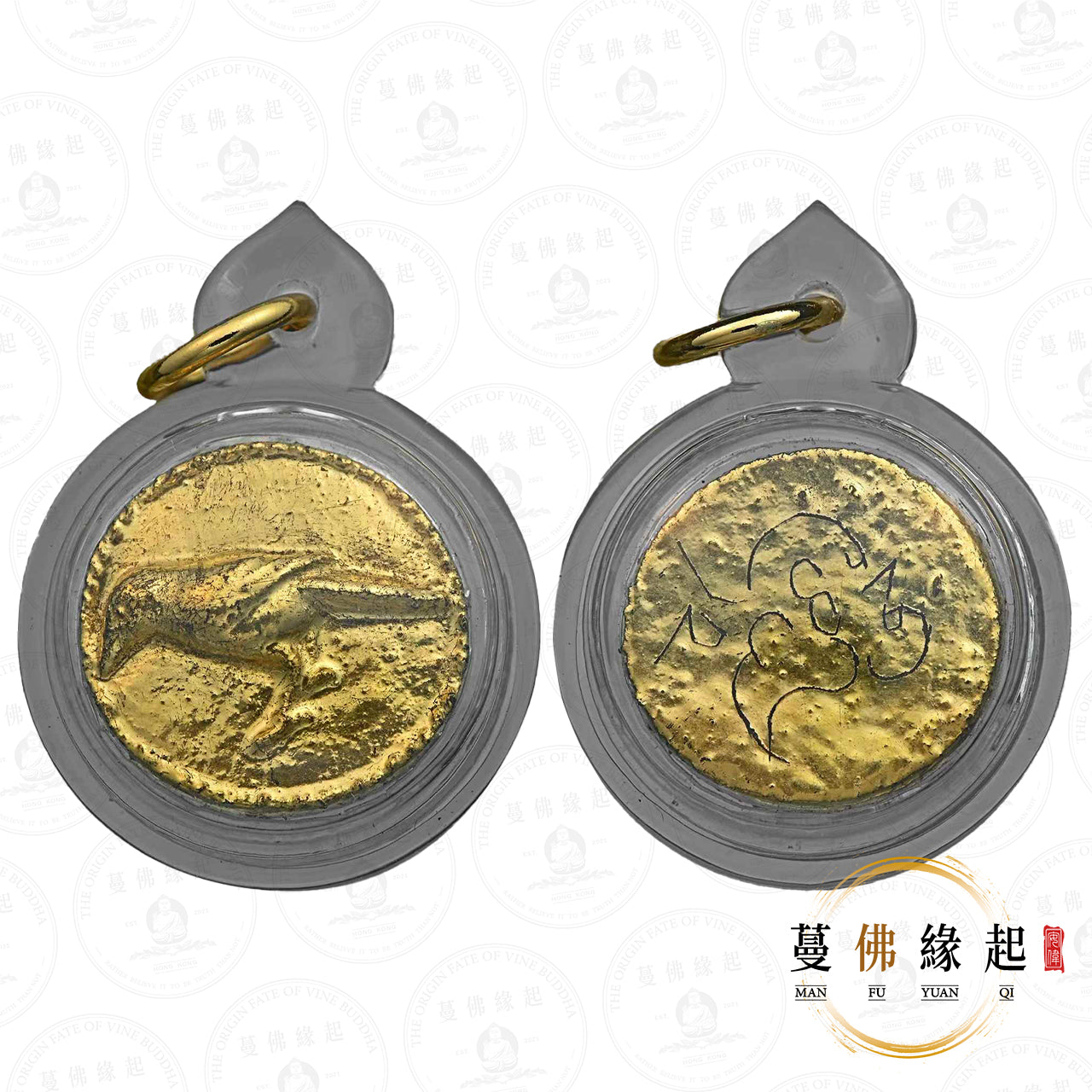 古巴api哇 • 2568 • 一期 • “ยาสาริกาลิ้นคำ”紅藥金舌鳥