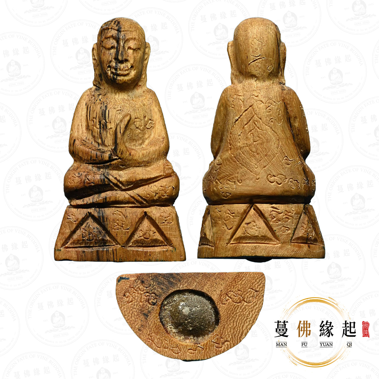 阿贊骷髏 • 2569 • 光頭帕罌(吊頸木)