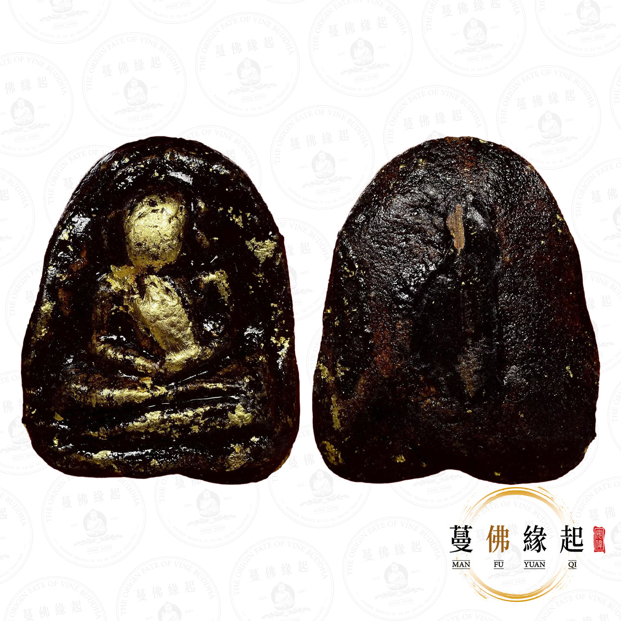 古巴傑士達 • 2557 • “แผ่นดินไหว”地震善加財