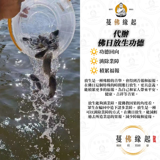代辦 • 佛日放生功德