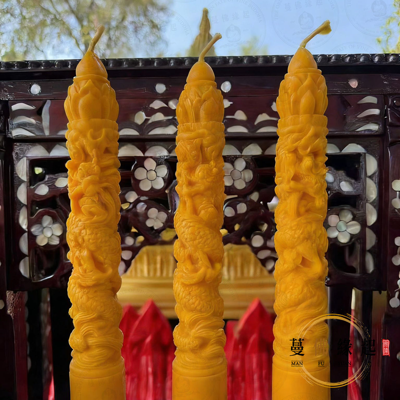 帕龍婆薩 • 龍抬頭神龍喚財法蠟大法會