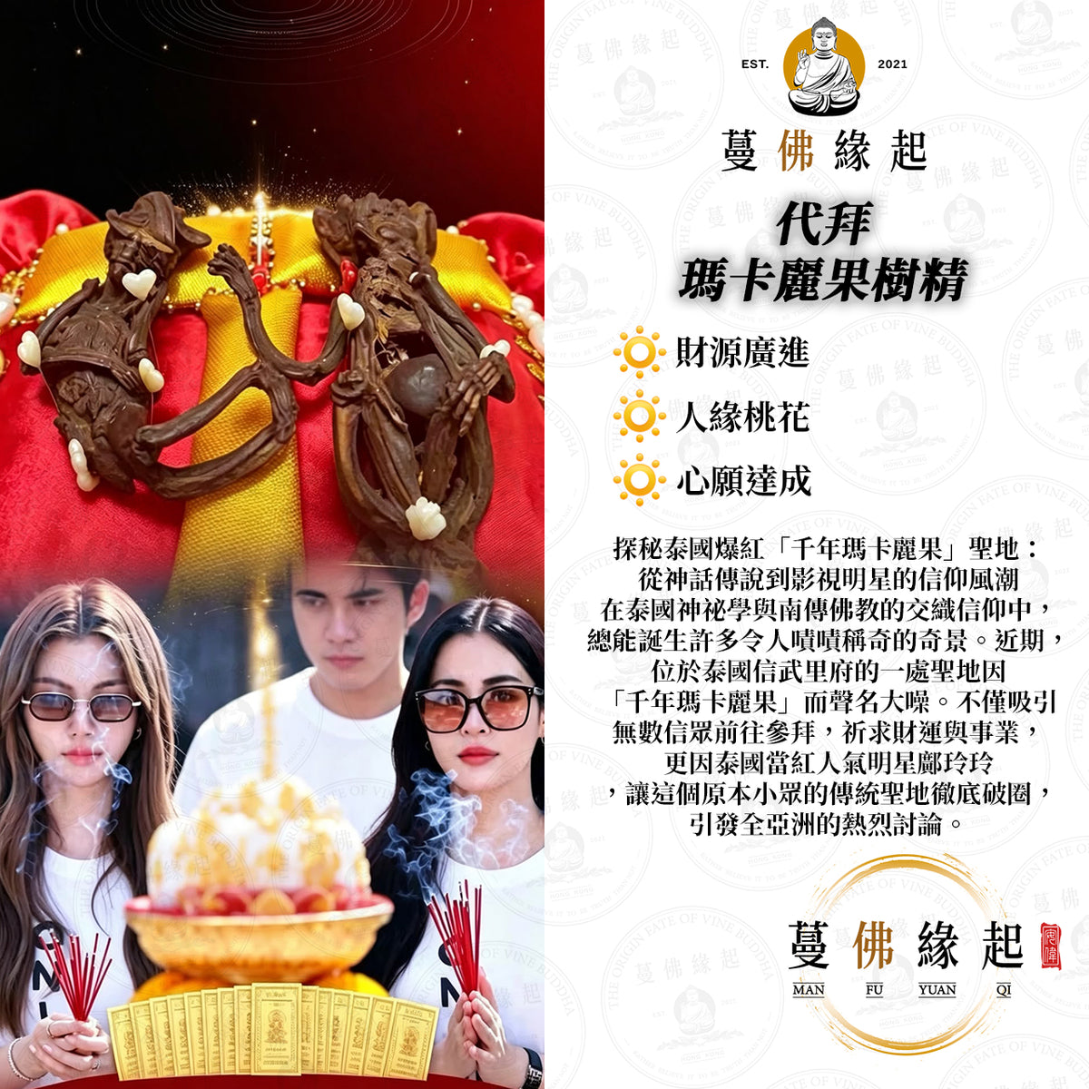 代拜 • 瑪卡麗果樹精