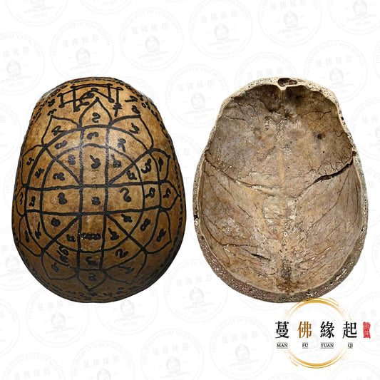 阿贊wiang • 2566 • “โฟม”女賓靈