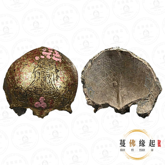 阿贊薩尼通 • 早期 • “派燙女魂”天靈蓋