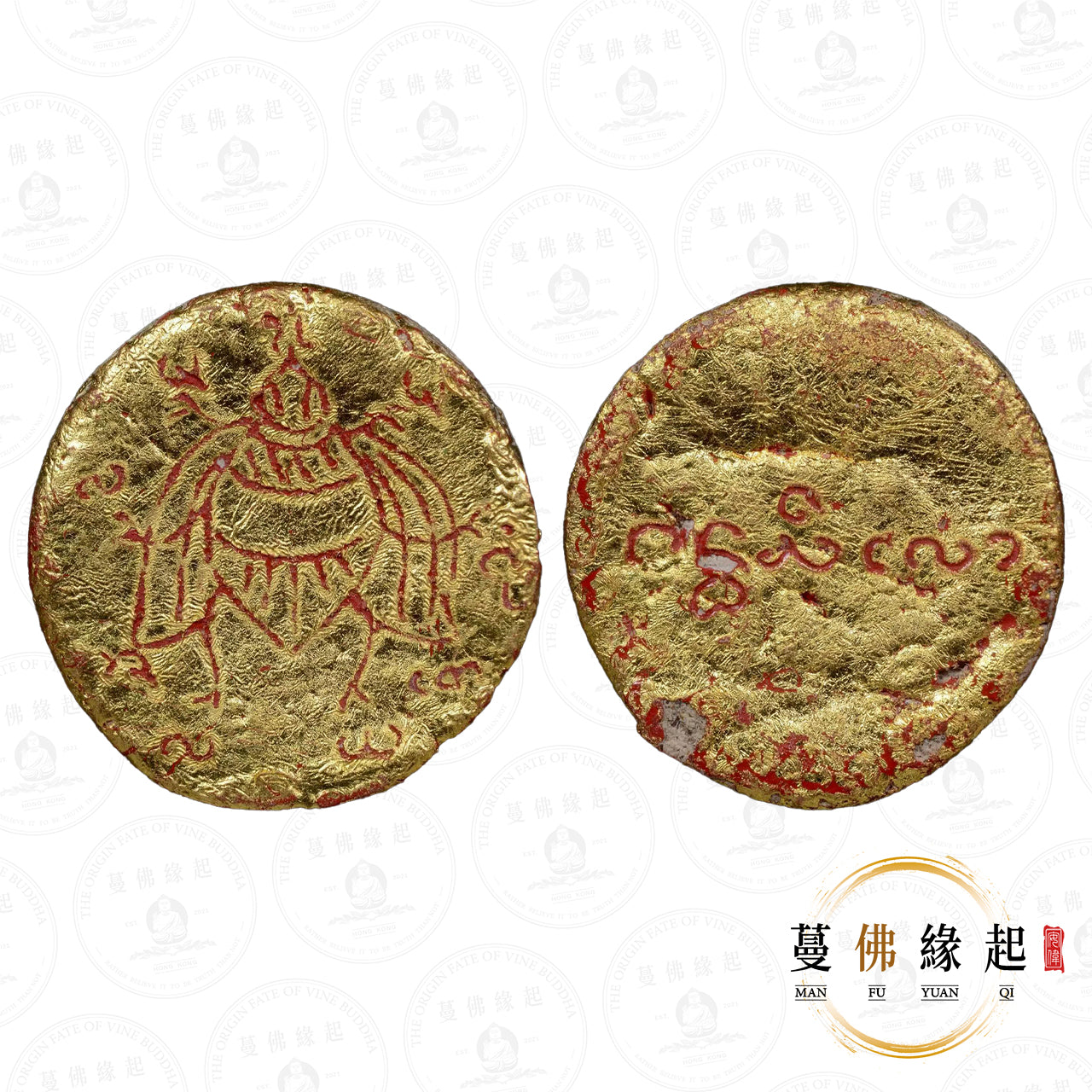 古巴兮暖 • 早期 • 緬甸金蒼蠅紅藥