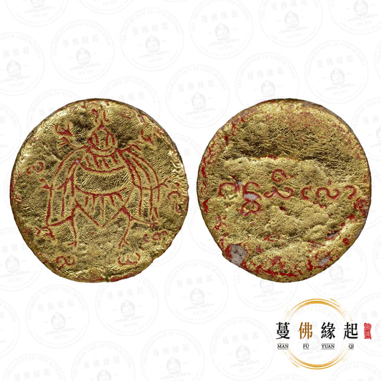 古巴兮暖 • 早期 • 緬甸金蒼蠅紅藥
