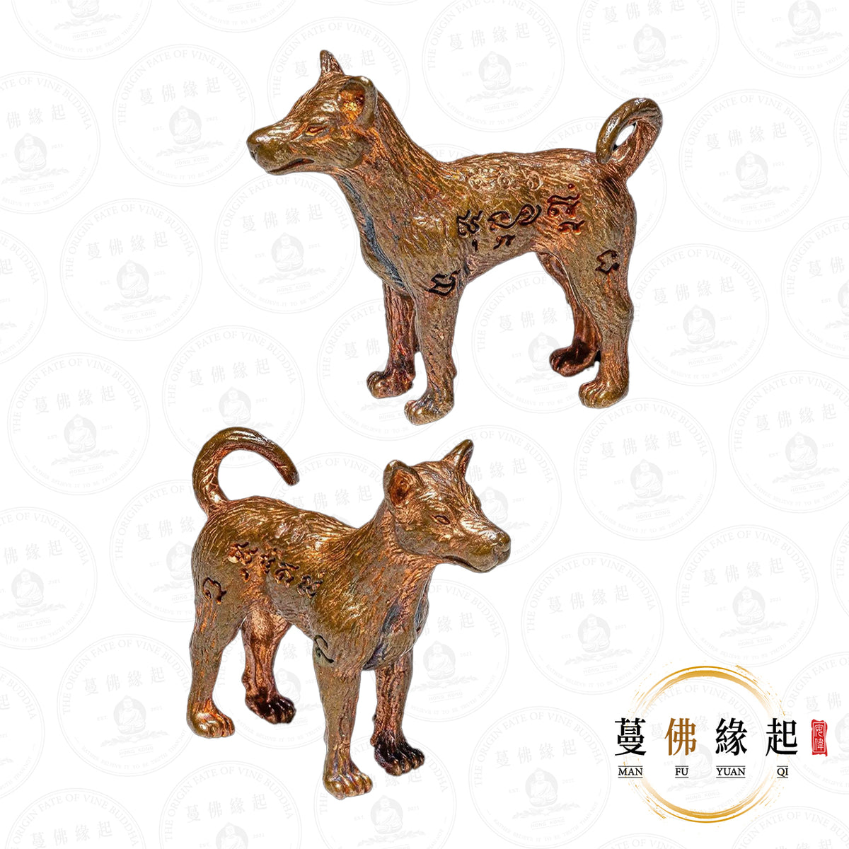 帕庫伴 / 龍婆伴 • 2567 • 第七期 • "เจ้าจ๋อ昭楚”神犬(紅銅)